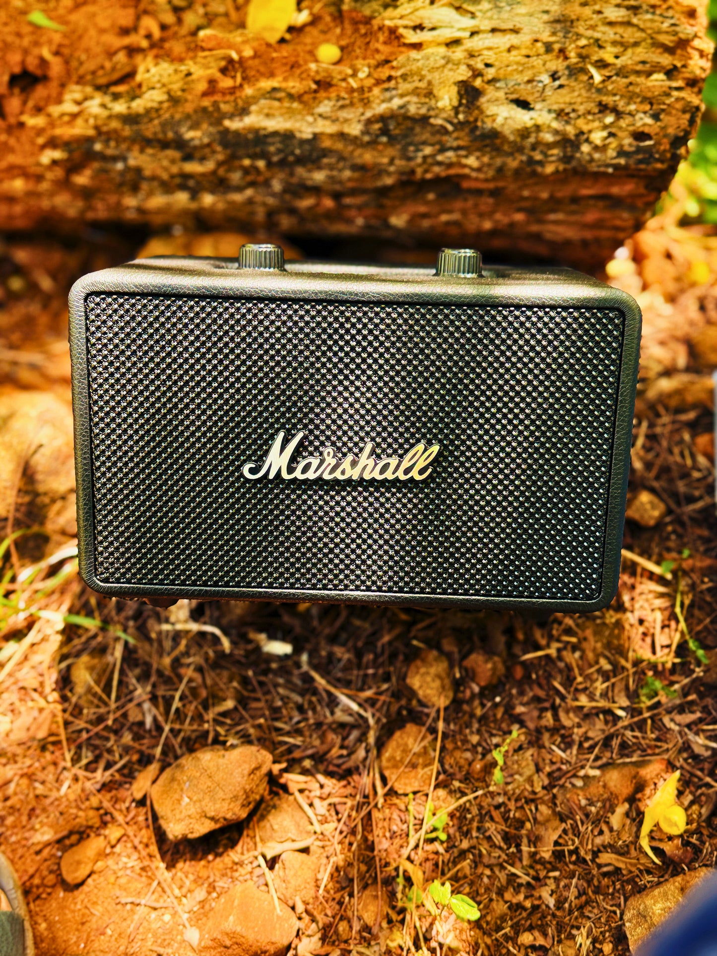 Marshall (M29) Speaker