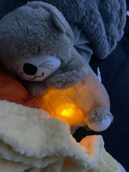 Breathing Teddy