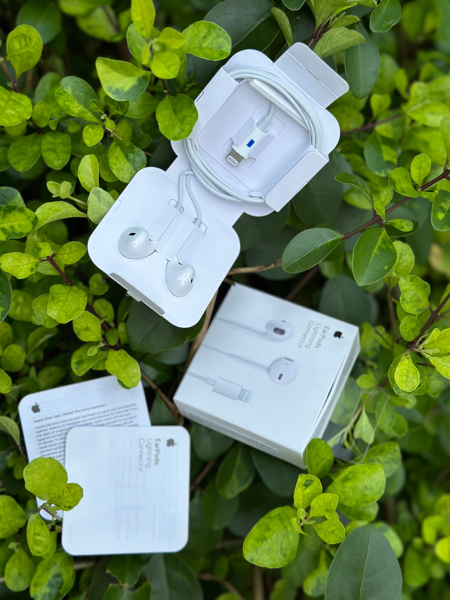 OG- Earphone Combo Lightning With Free Charging Case π₯