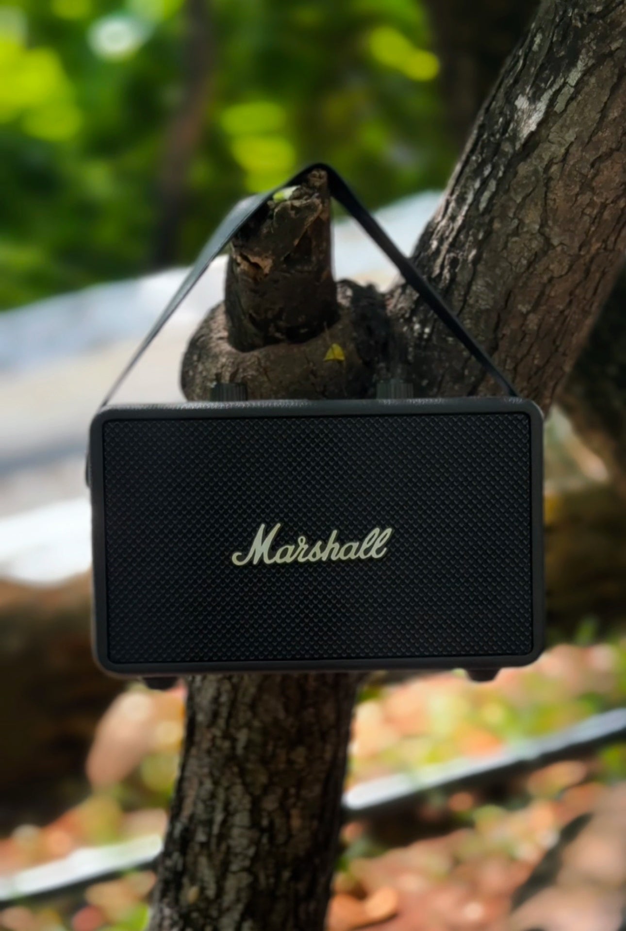 Marshall (M29) Speaker