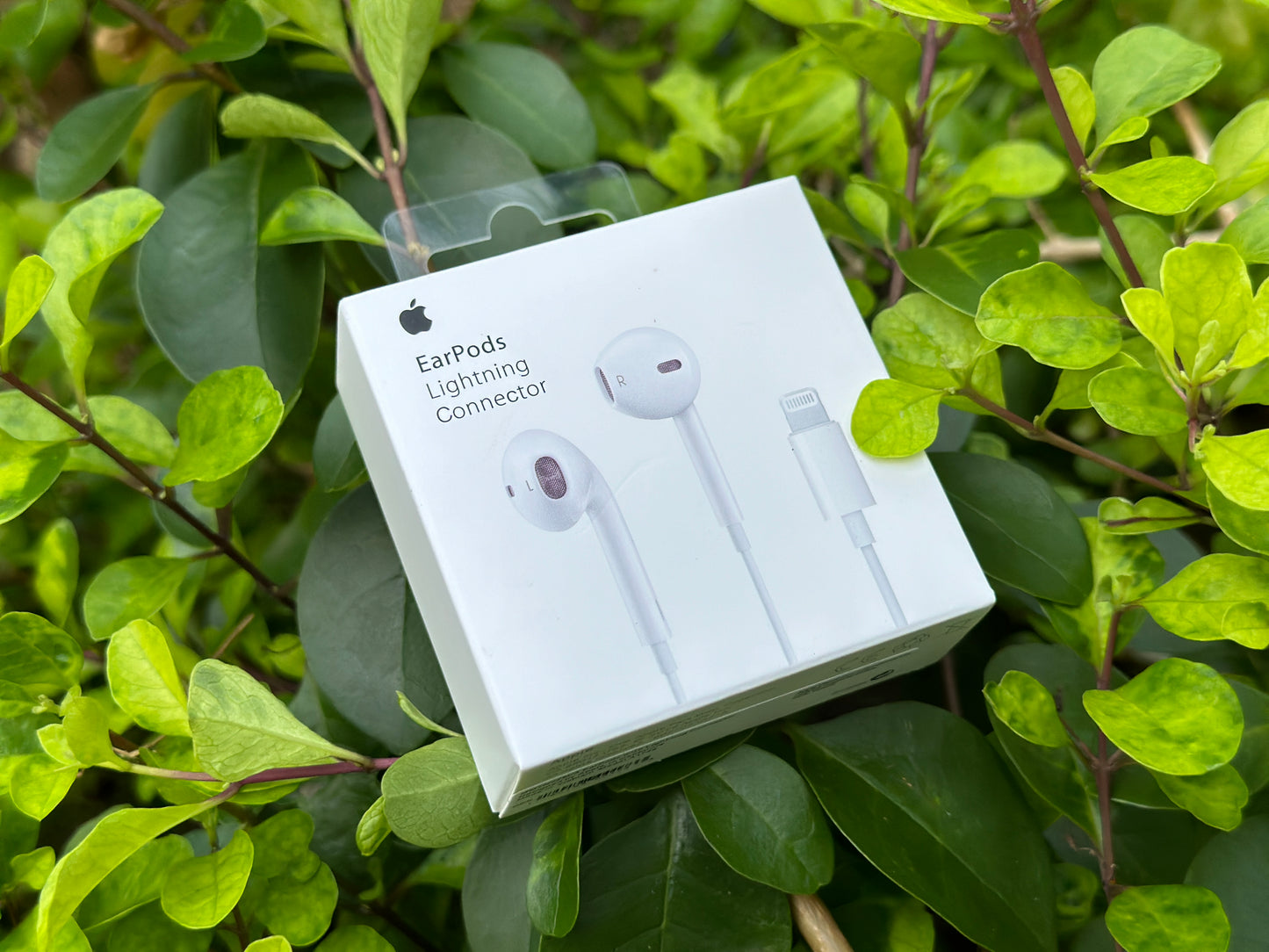 OG- Earphone Combo Lightning With Free Charging Case π₯