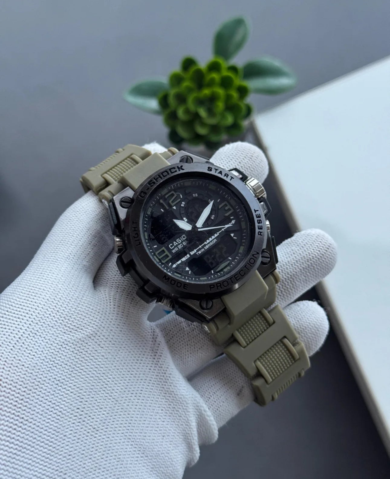 GMT Analog Watches
