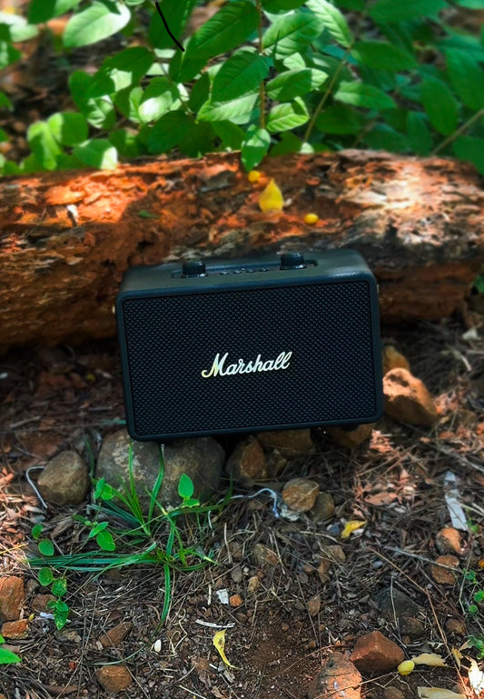Marshall (M29) Speaker
