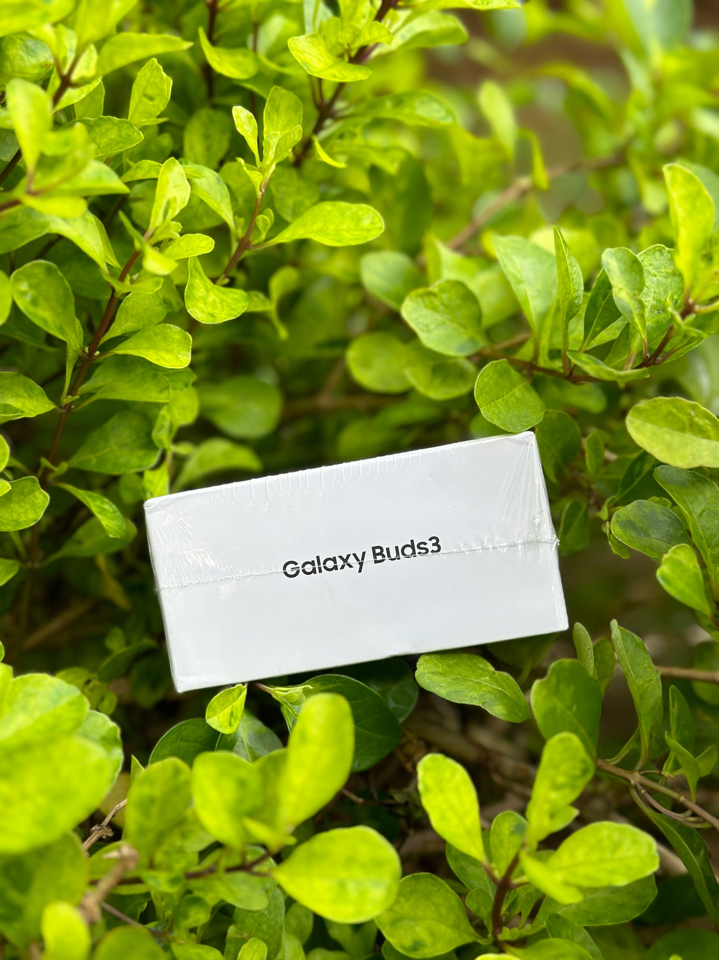 Galaxy Buds 3