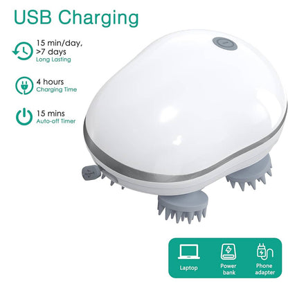 Hair Scalp Massager