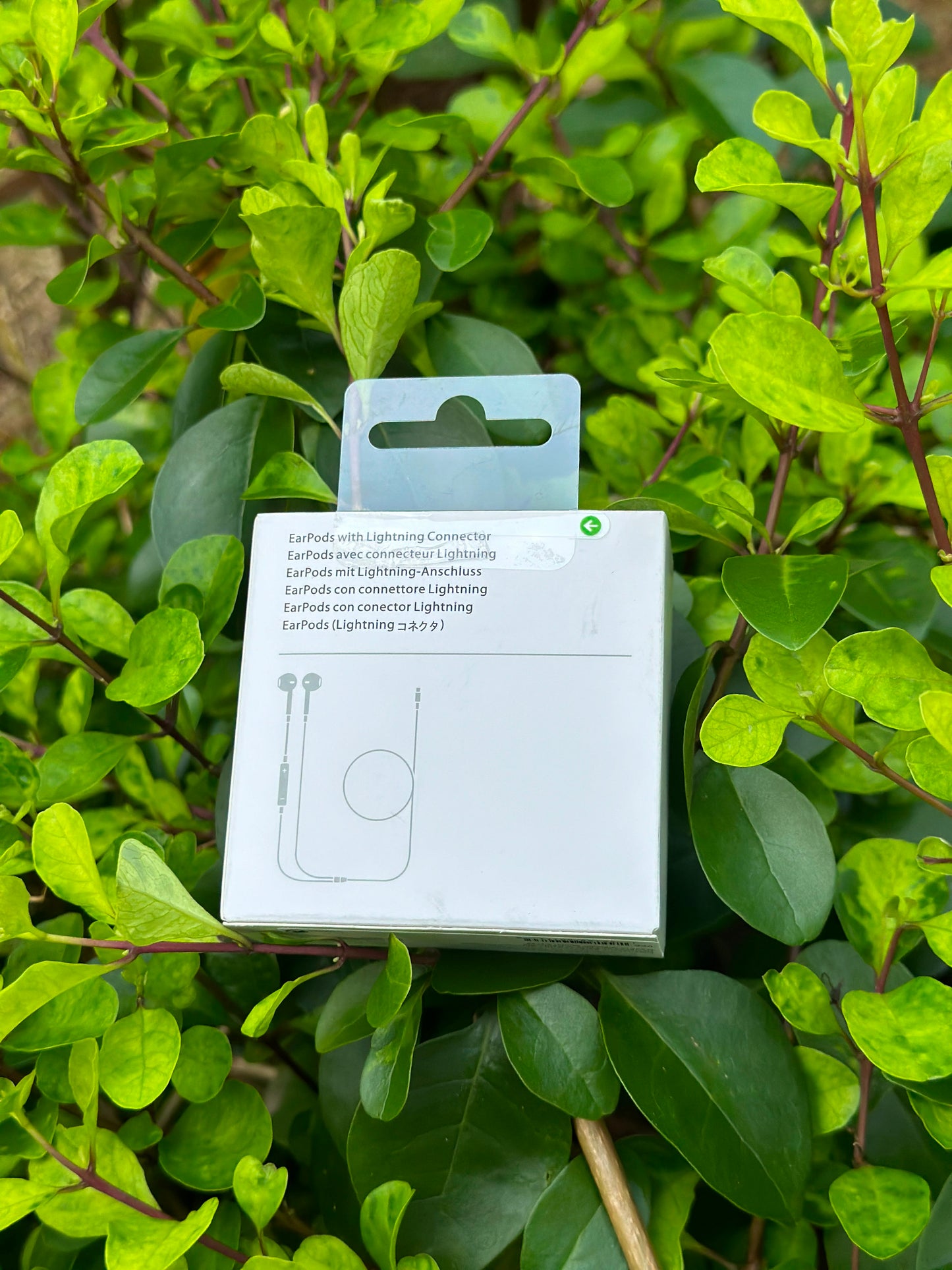 Type c earphone
