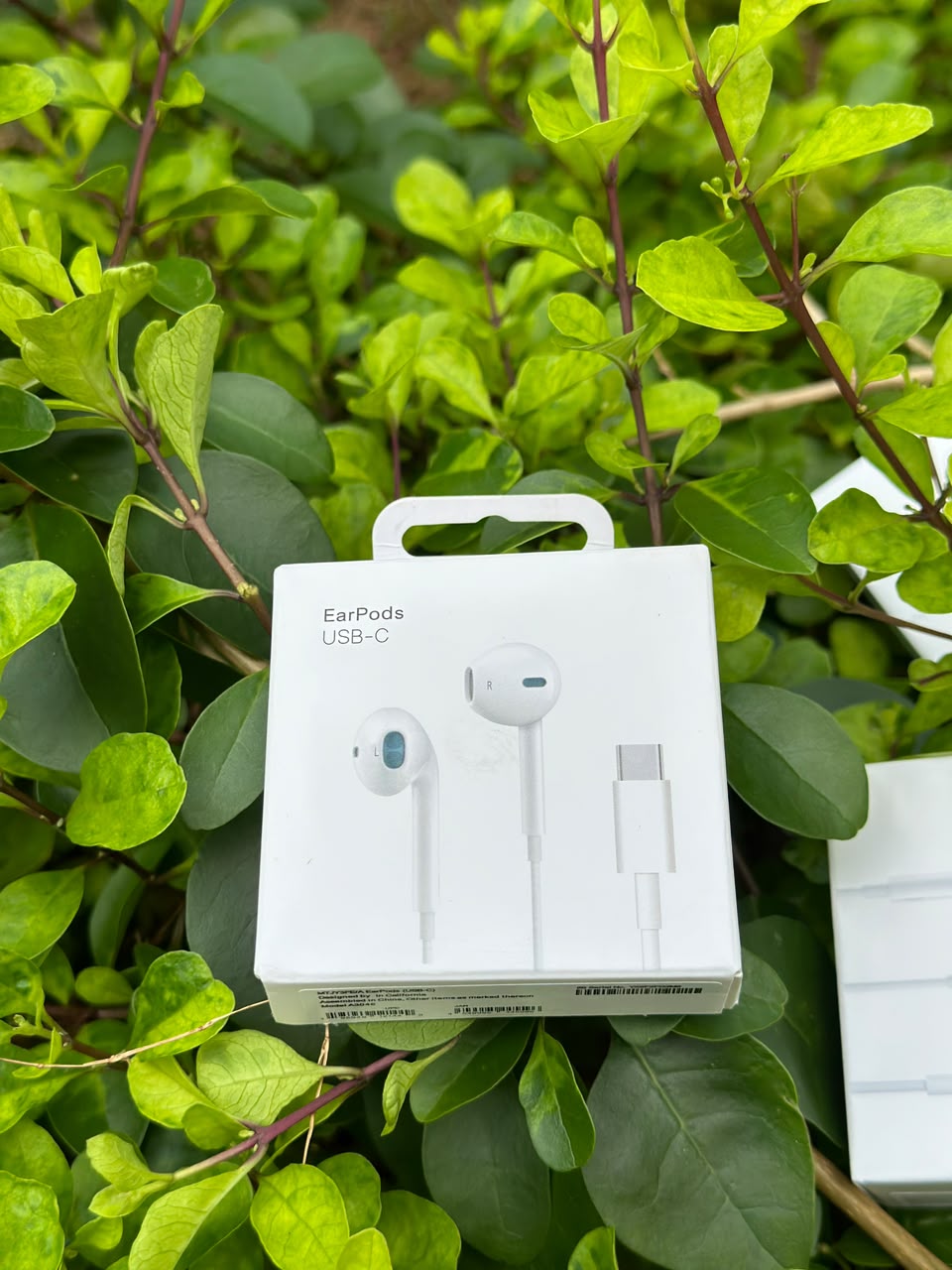 Type c earphone